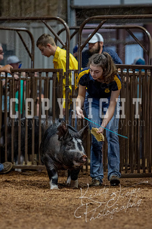 2021_MAYESCOUNTYFAIR_-4568