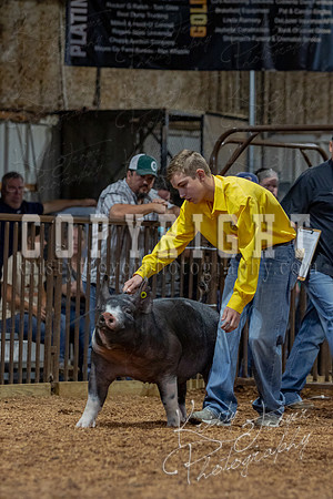 2021_MAYESCOUNTYFAIR_-4569