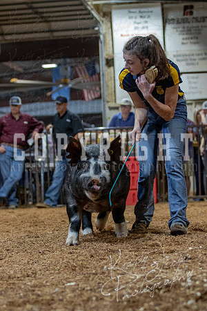 2021_MAYESCOUNTYFAIR_-4570