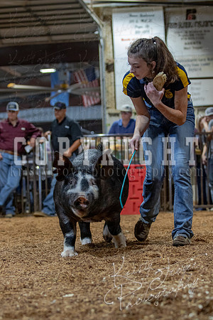 2021_MAYESCOUNTYFAIR_-4571