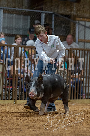 2021_MAYESCOUNTYFAIR_-4574