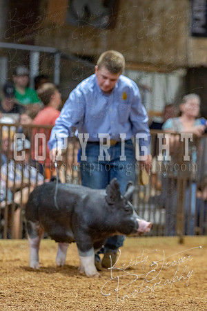 2021_MAYESCOUNTYFAIR_-4575