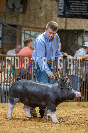 2021_MAYESCOUNTYFAIR_-4576