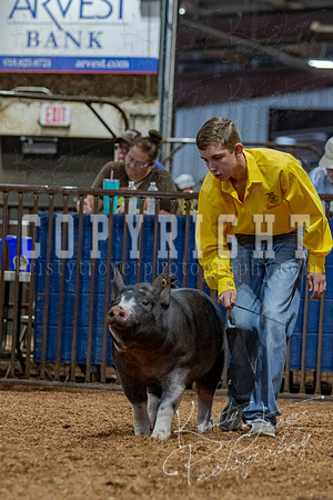 2021_MAYESCOUNTYFAIR_-4577