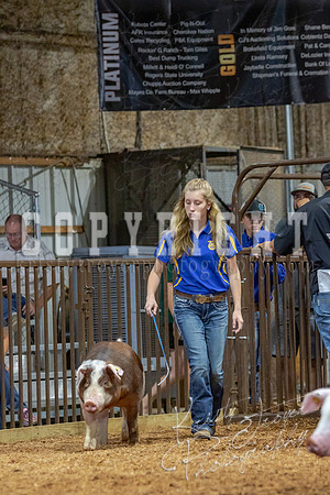 2021_MAYESCOUNTYFAIR_-4580
