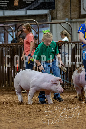 2021_MAYESCOUNTYFAIR_-4585