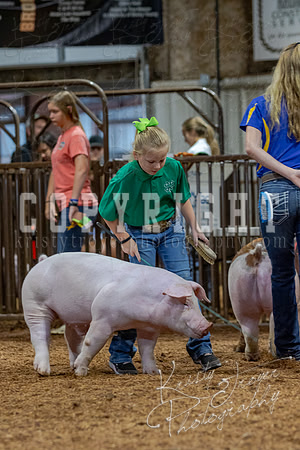 2021_MAYESCOUNTYFAIR_-4586
