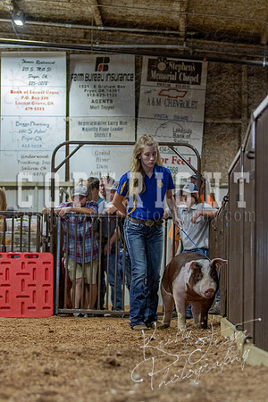 2021_MAYESCOUNTYFAIR_-4588