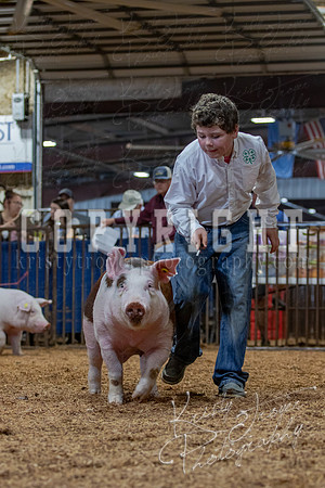 2021_MAYESCOUNTYFAIR_-4591
