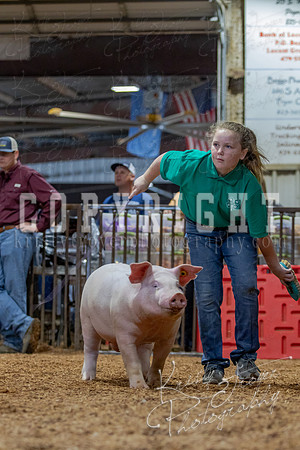 2021_MAYESCOUNTYFAIR_-4594