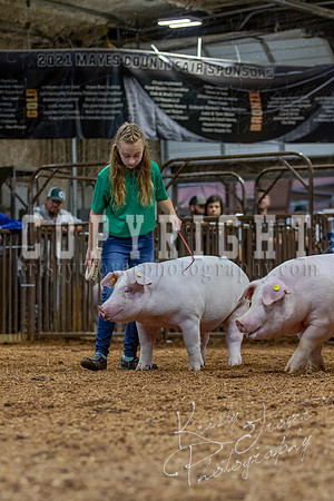 2021_MAYESCOUNTYFAIR_-4597