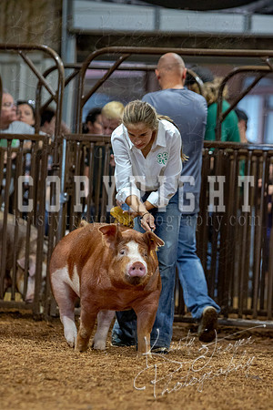 2021_MAYESCOUNTYFAIR_-4602