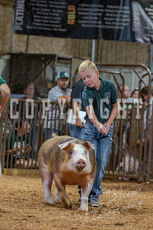 2021_MAYESCOUNTYFAIR_-4603