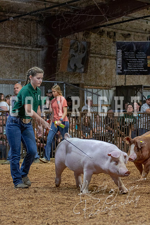 2021_MAYESCOUNTYFAIR_-4607