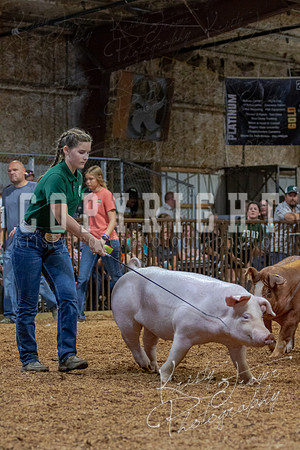 2021_MAYESCOUNTYFAIR_-4608
