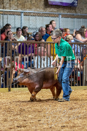 2021_MAYESCOUNTYFAIR_-4611