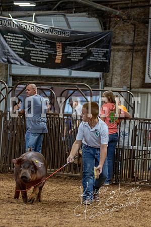 2021_MAYESCOUNTYFAIR_-4613