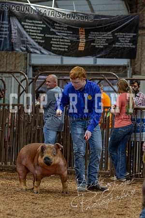 2021_MAYESCOUNTYFAIR_-4614