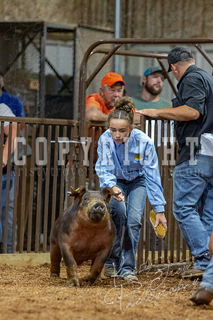 2021_MAYESCOUNTYFAIR_-4616