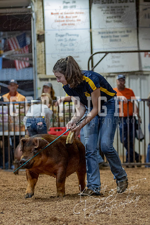 2021_MAYESCOUNTYFAIR_-4637
