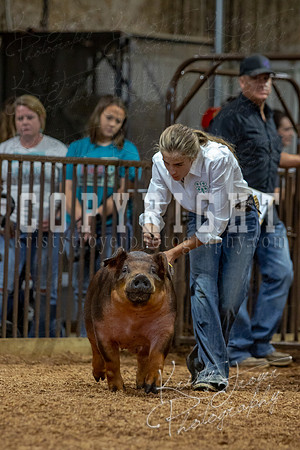 2021_MAYESCOUNTYFAIR_-4639