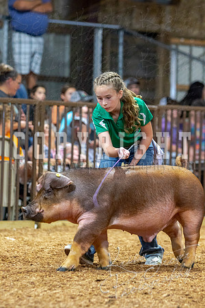 2021_MAYESCOUNTYFAIR_-4648