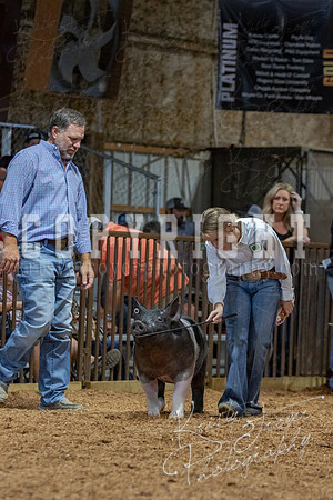 2021_MAYESCOUNTYFAIR_-4668