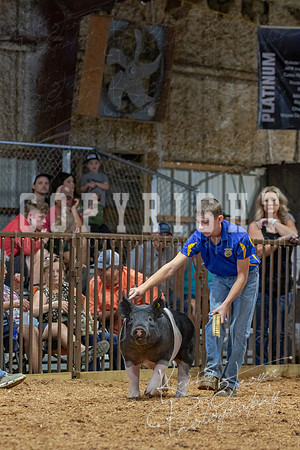 2021_MAYESCOUNTYFAIR_-4670