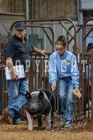 2021_MAYESCOUNTYFAIR_-4672