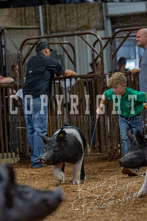 2021_MAYESCOUNTYFAIR_-4673