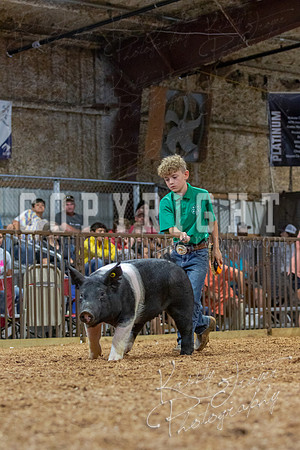 2021_MAYESCOUNTYFAIR_-4682