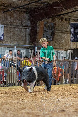 2021_MAYESCOUNTYFAIR_-4683