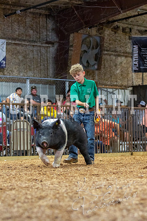 2021_MAYESCOUNTYFAIR_-4684