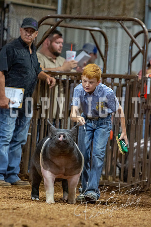 2021_MAYESCOUNTYFAIR_-4688