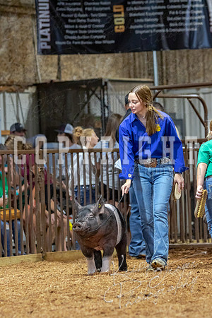 2021_MAYESCOUNTYFAIR_-4689