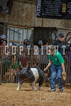 2021_MAYESCOUNTYFAIR_-4691