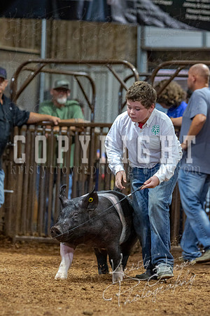 2021_MAYESCOUNTYFAIR_-4692