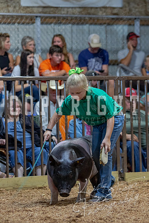 2021_MAYESCOUNTYFAIR_-4698