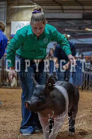 2021_MAYESCOUNTYFAIR_-4699