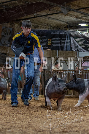 2021_MAYESCOUNTYFAIR_-4702