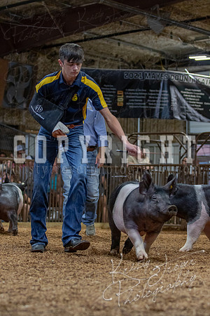 2021_MAYESCOUNTYFAIR_-4703