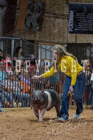 2021_MAYESCOUNTYFAIR_-4705