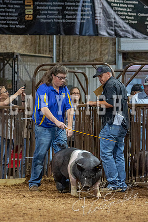 2021_MAYESCOUNTYFAIR_-4704