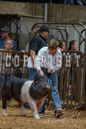 2021_MAYESCOUNTYFAIR_-4706
