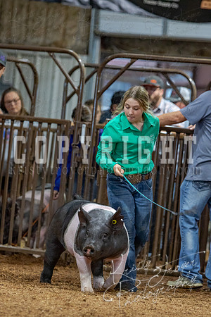 2021_MAYESCOUNTYFAIR_-4707