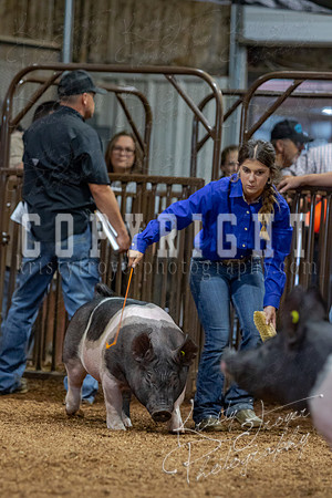 2021_MAYESCOUNTYFAIR_-4708