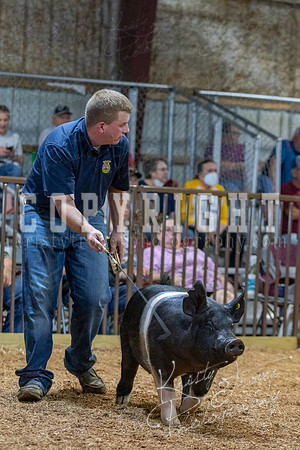 2021_MAYESCOUNTYFAIR_-4709