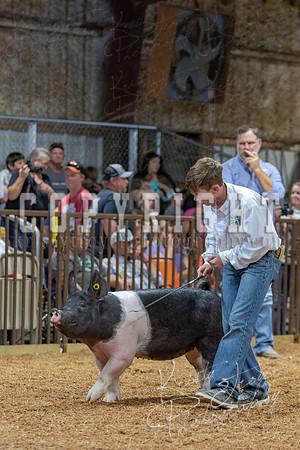 2021_MAYESCOUNTYFAIR_-4711