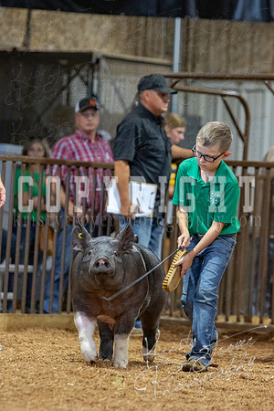 2021_MAYESCOUNTYFAIR_-4713