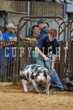 2021_MAYESCOUNTYFAIR_-4758